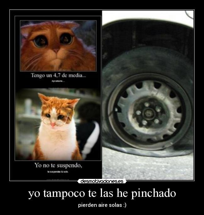 yo tampoco te las he pinchado -