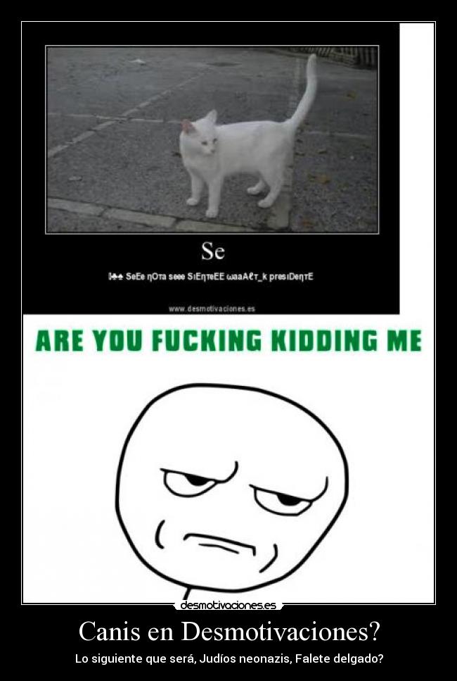 Canis en Desmotivaciones? -