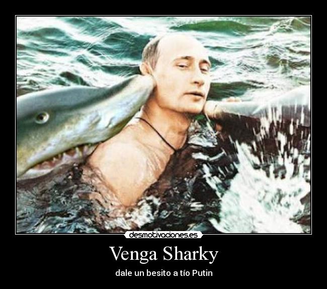Venga Sharky -