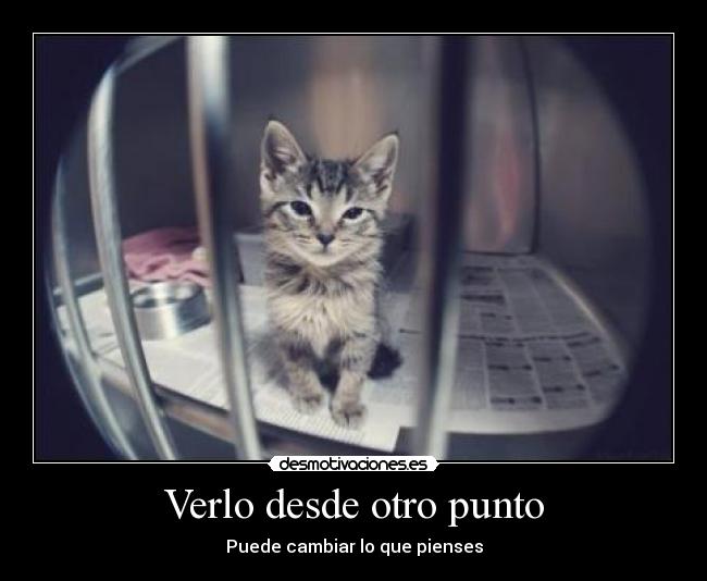 Verlo desde otro punto - 