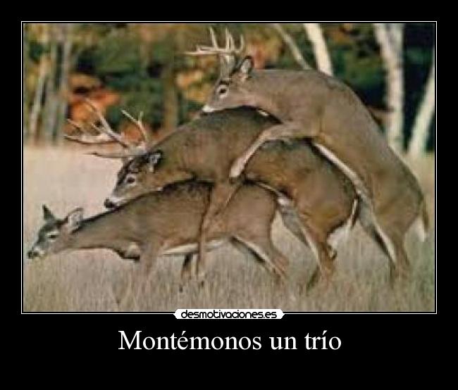 Montémonos un trío - 