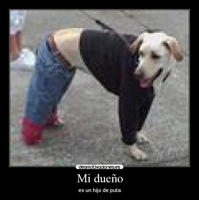 Mi dueño -
