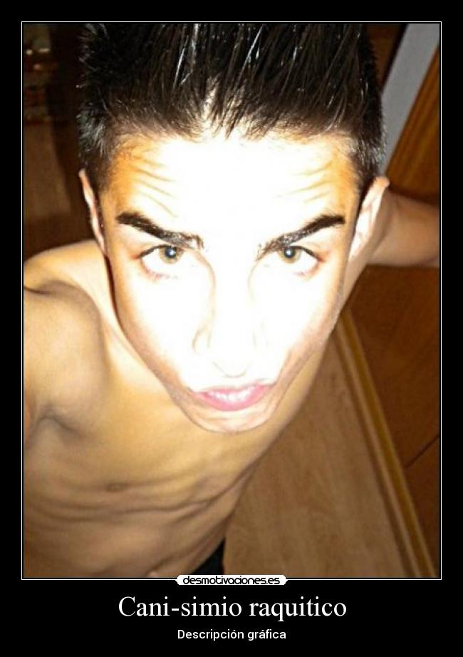 Cani-simio raquitico - Descripción gráfica