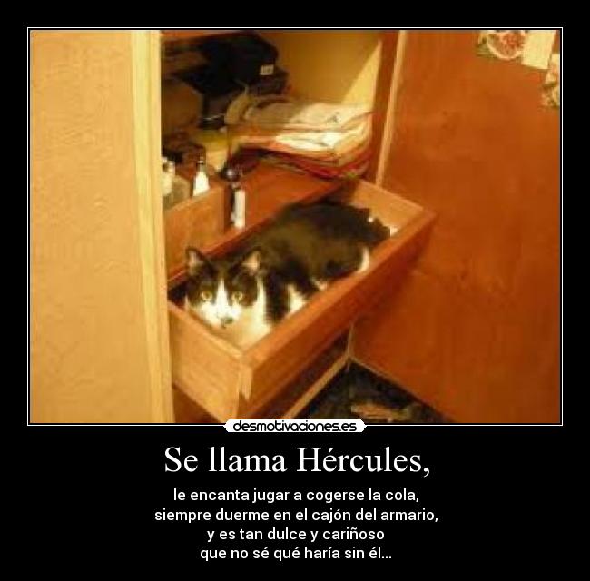 Se llama Hércules, - 