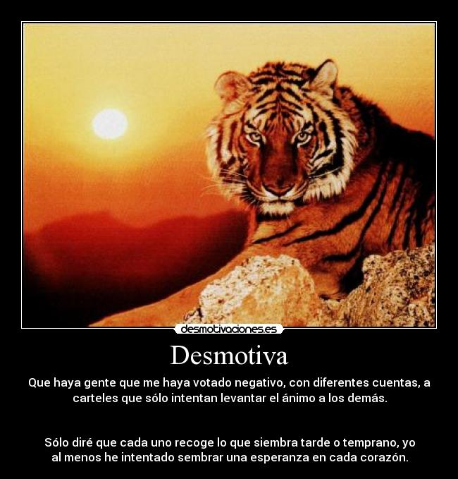 Desmotiva - Que haya gente que me haya votado negativo, con diferentes cuentas, a
carteles que sólo intentan levantar el ánimo a los demás.
Sólo diré que cada uno recoge lo que siembra tarde o temprano, yo
al menos he intentado sembrar una esperanza en cada corazón.