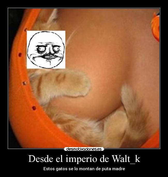 carteles oooh desmotivaciones