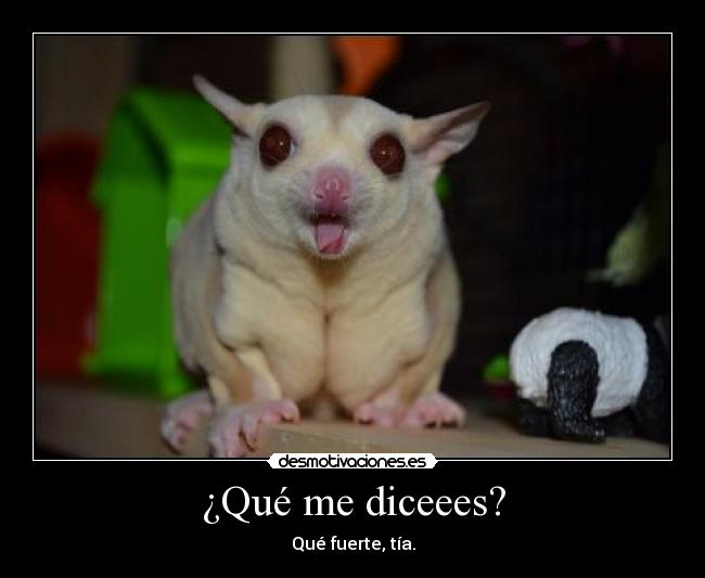 ¿Qué me diceees? - Qué fuerte, tía.