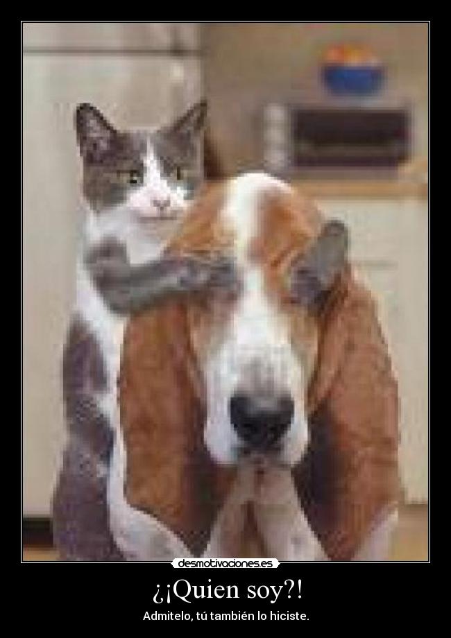 ¿¡Quien soy?! - Admitelo, tú también lo hiciste.