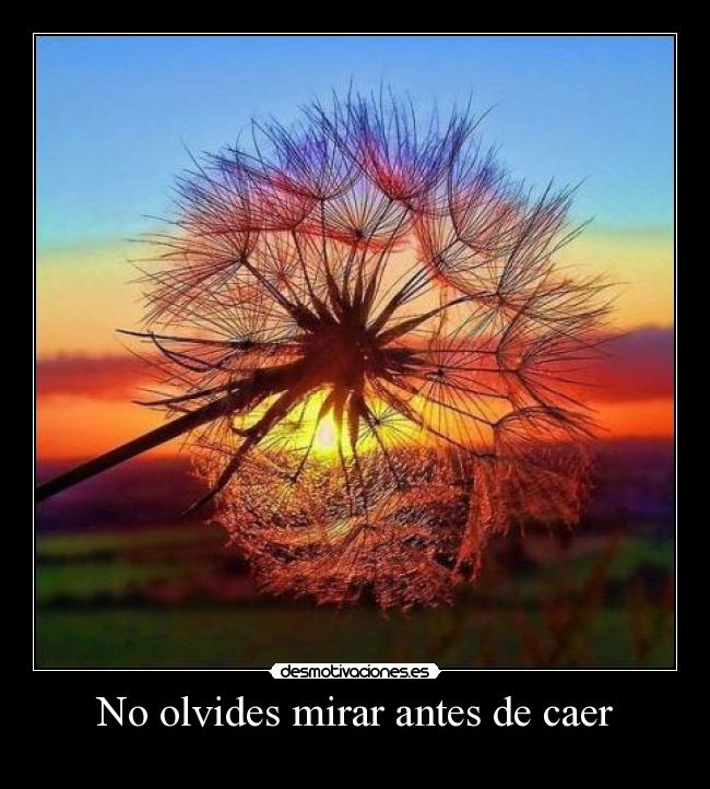 No olvides mirar antes de caer - 