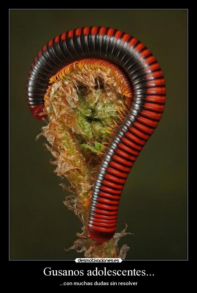 Gusanos adolescentes... - ...con muchas dudas sin resolver