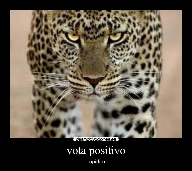 vota positivo - 