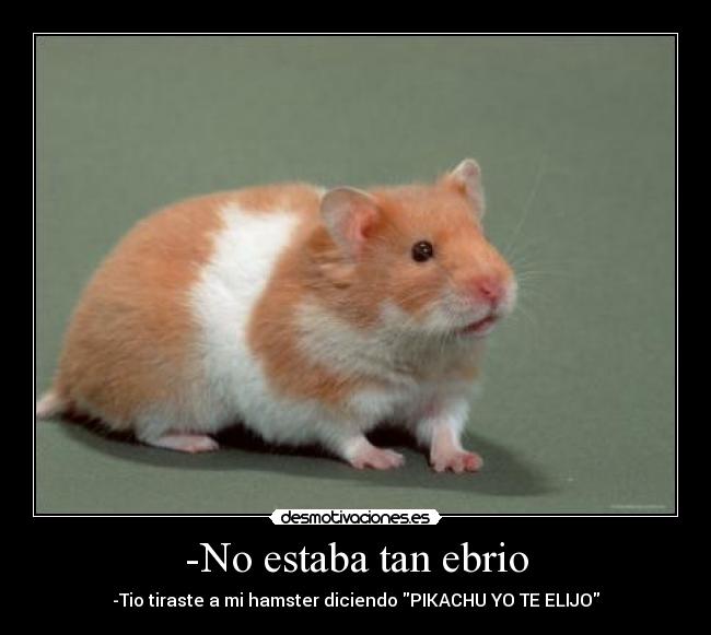 -No estaba tan ebrio - 