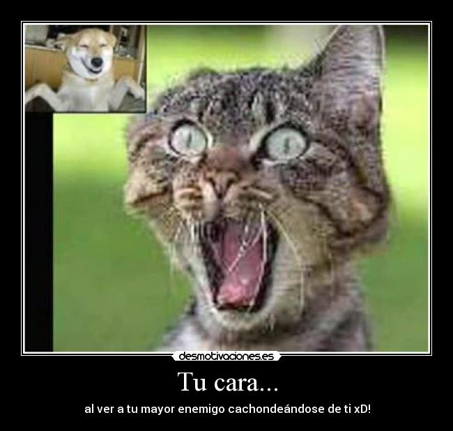 Tu cara... -