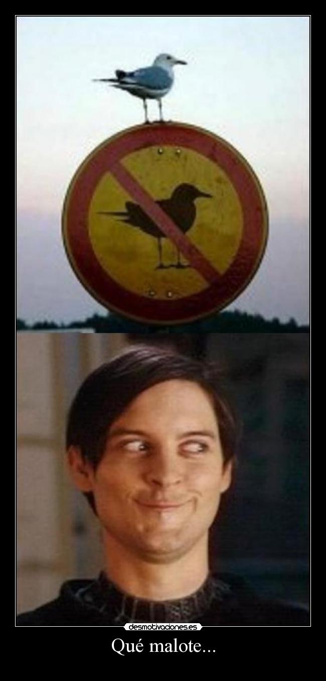Qué malote... -