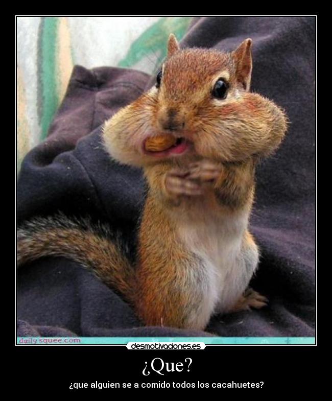 ¿Que? - ¿que alguien se a comido todos los cacahuetes?