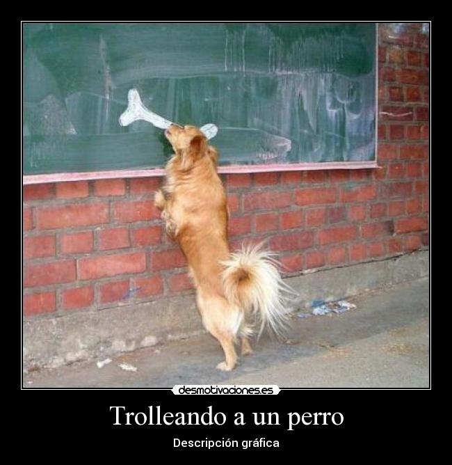 Trolleando a un perro - 