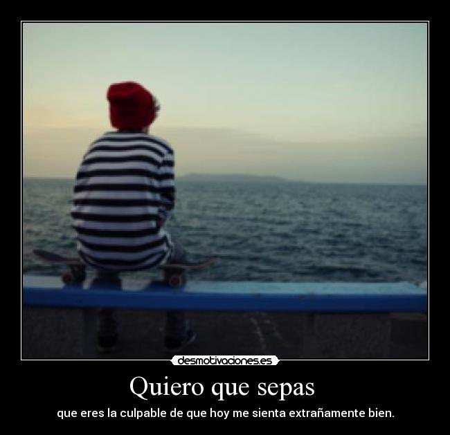 carteles quiero que sepas desmotivaciones