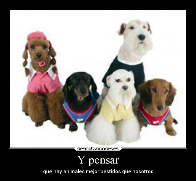 Y pensar - que hay animales mejor bestidos que nosotros