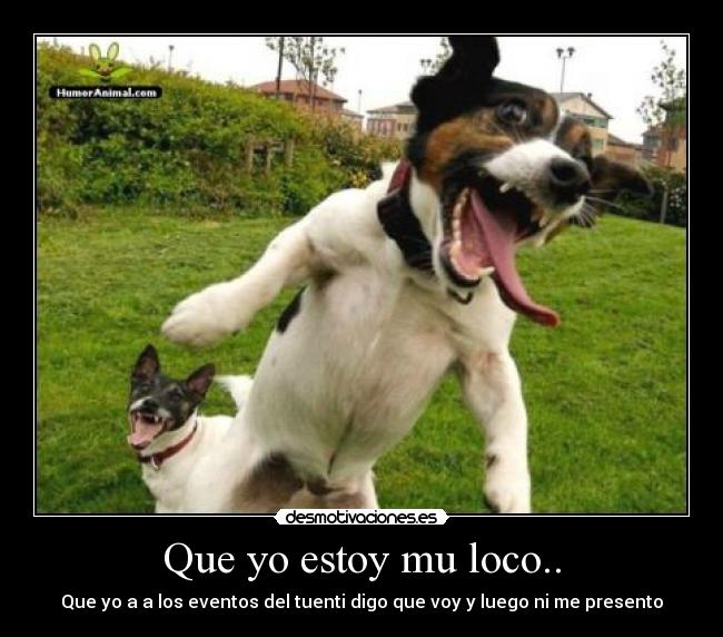 Que yo estoy mu loco.. - 