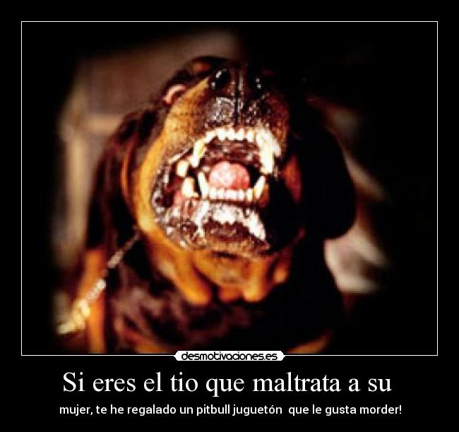 Si eres el tio que maltrata a su -