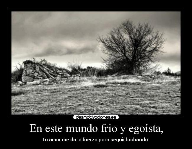 En Este Mundo Frio Y Egoista Desmotivaciones