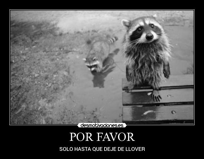 POR FAVOR -