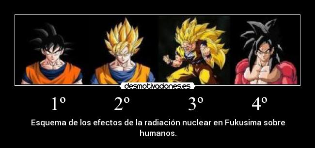 1º          2º            3º          4º - Esquema de los efectos de la radiación nuclear en Fukusima sobre humanos.