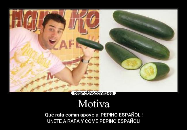 Motiva - 