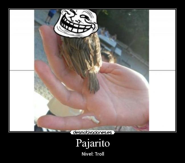 Pajarito - Nivel: Troll