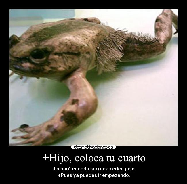 +Hijo, coloca tu cuarto - -Lo haré cuando las ranas críen pelo.
+Pues ya puedes ir empezando.