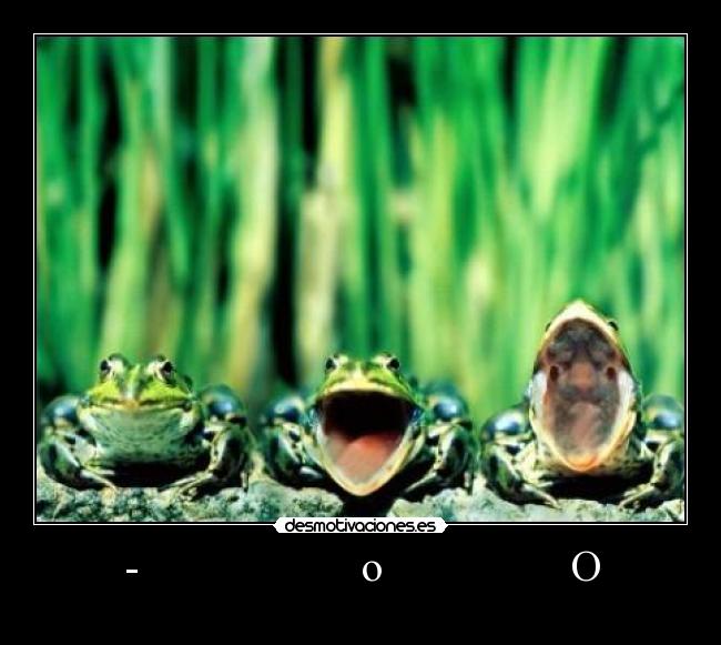 -                    o                 O - 