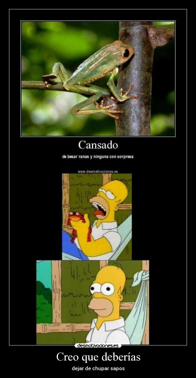 Creo que deberías - dejar de chupar sapos