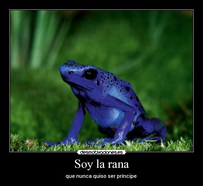 Soy la rana -