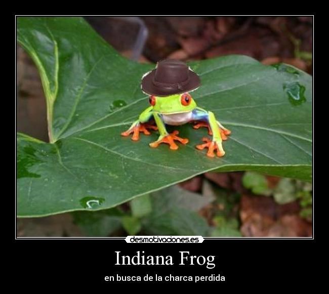 Indiana Frog - en busca de la charca perdida