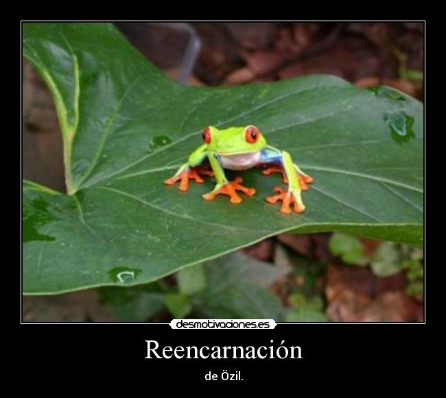 Reencarnación -