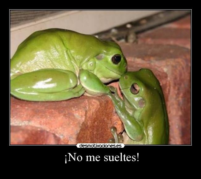 ¡No me sueltes! - 