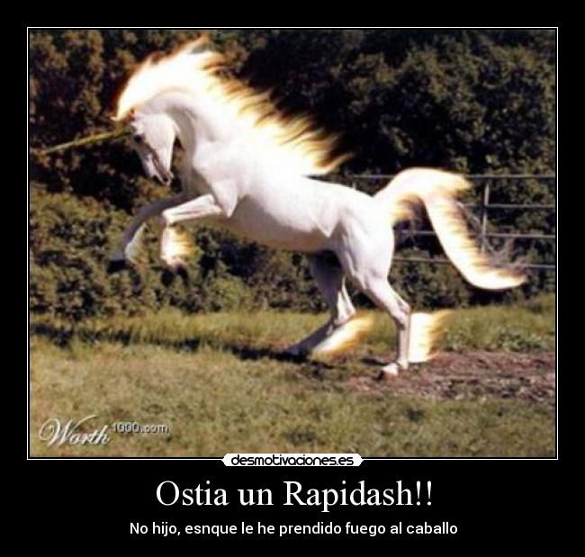 Ostia un Rapidash!! -