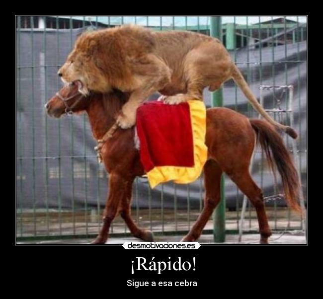 ¡Rápido! -