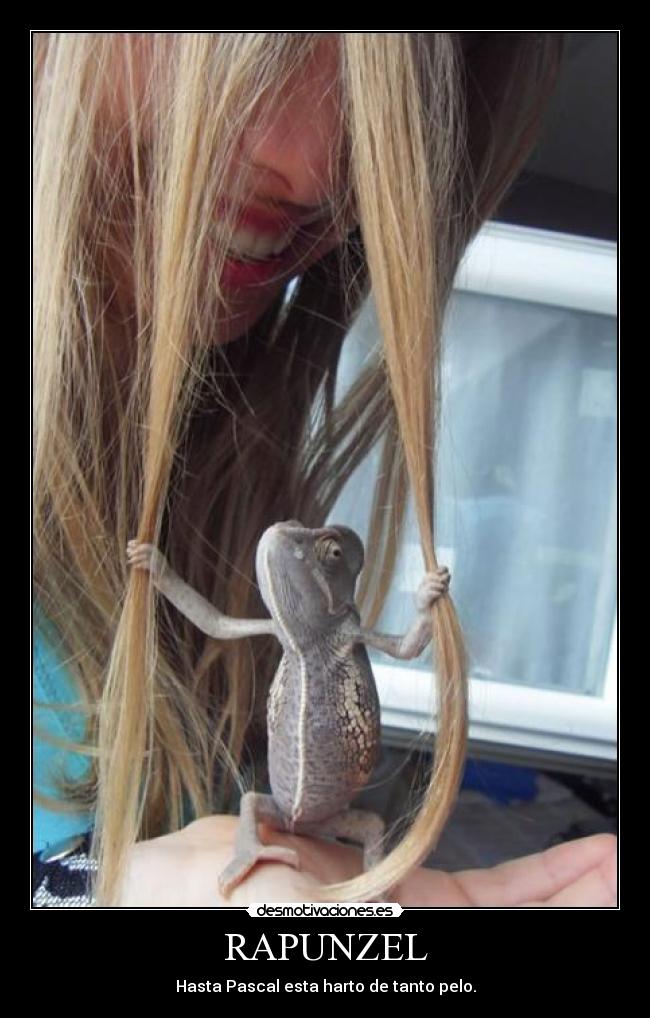RAPUNZEL - Hasta Pascal esta harto de tanto pelo.