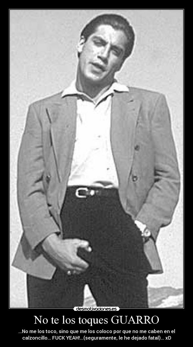 No te los toques GUARRO - 