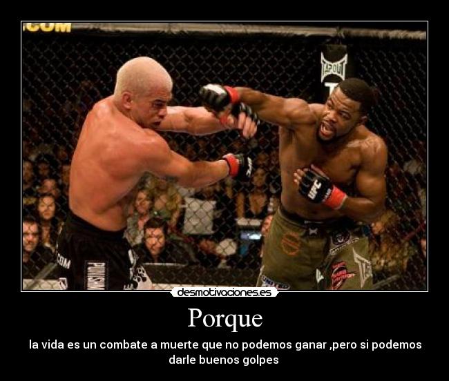 Porque - la vida es un combate a muerte que no podemos ganar ,pero si podemos
darle buenos golpes