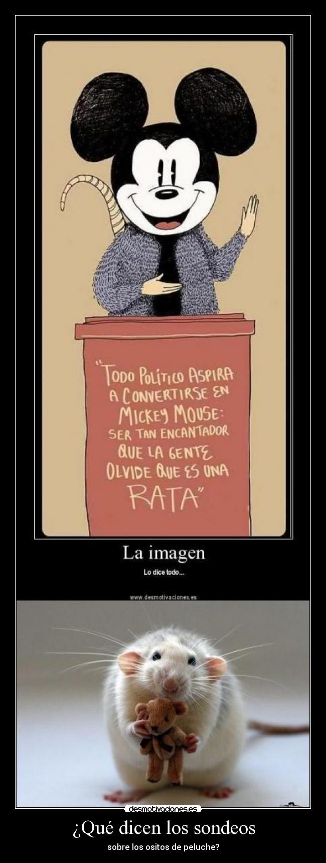 ¿Qué dicen los sondeos -