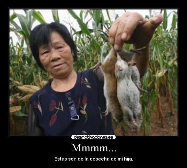 Mmmm... - Estas son de la cosecha de mi hija.