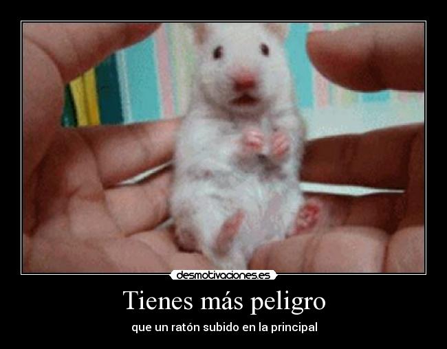 Tienes más peligro - que un ratón subido en la principal