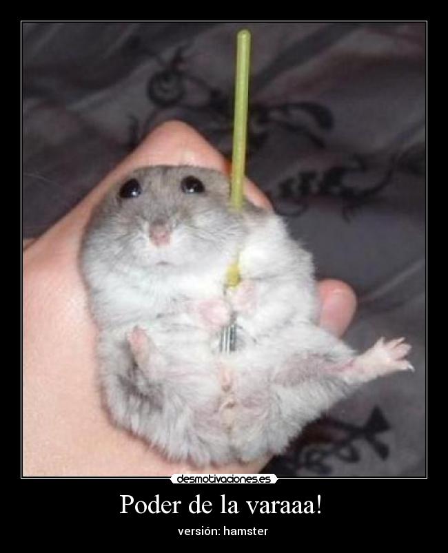 carteles hamster desmotivaciones