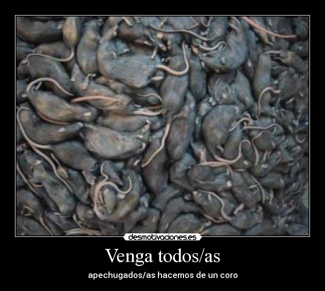 Venga todos/as - apechugados/as hacemos de un coro