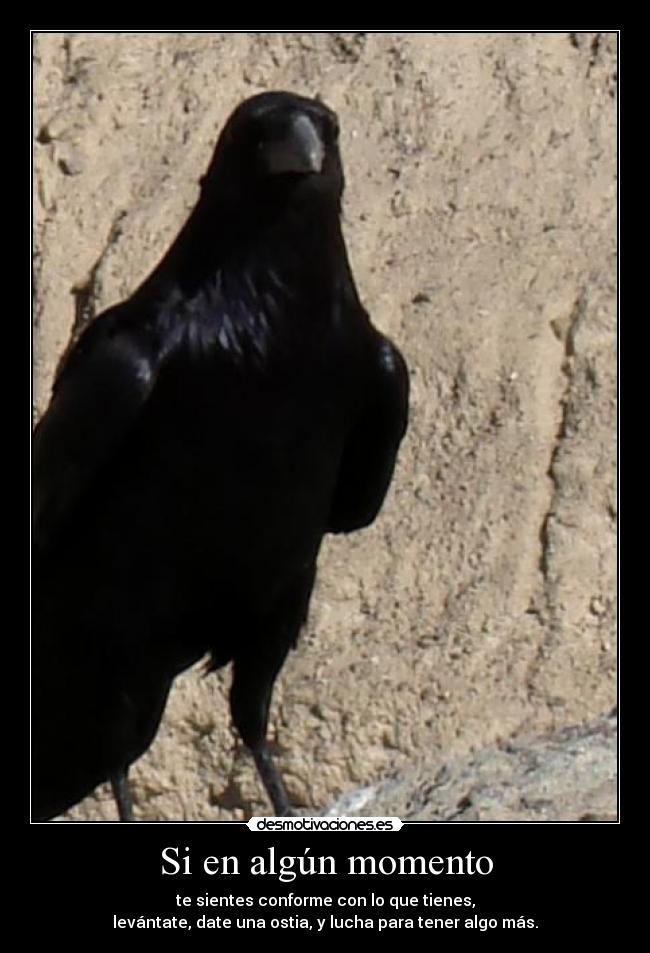 Si en algún momento - te sientes conforme con lo que tienes,
levántate, date una ostia, y lucha para tener algo más.