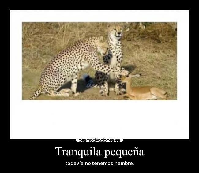 Tranquila pequeña - todavía no tenemos hambre.
