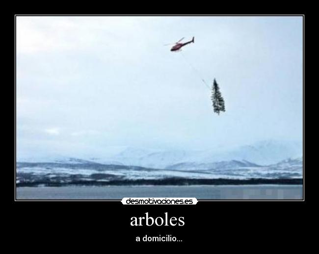 arboles  - 