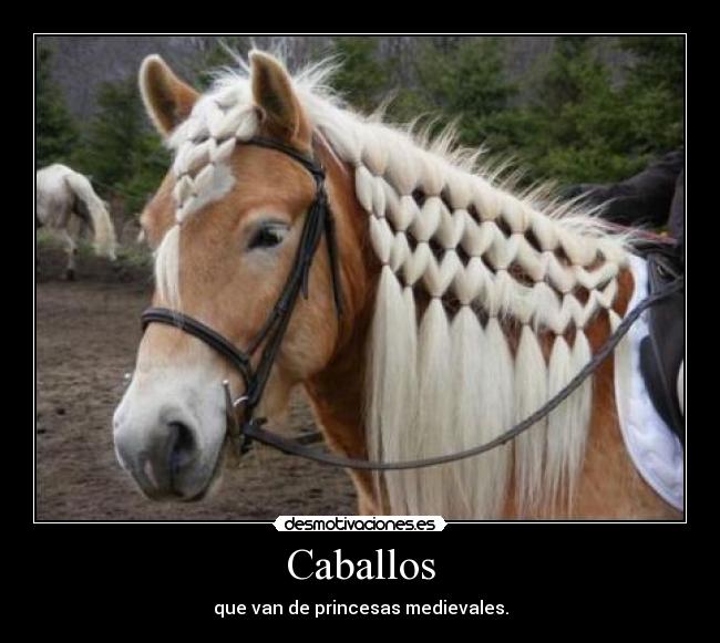 Caballos - 